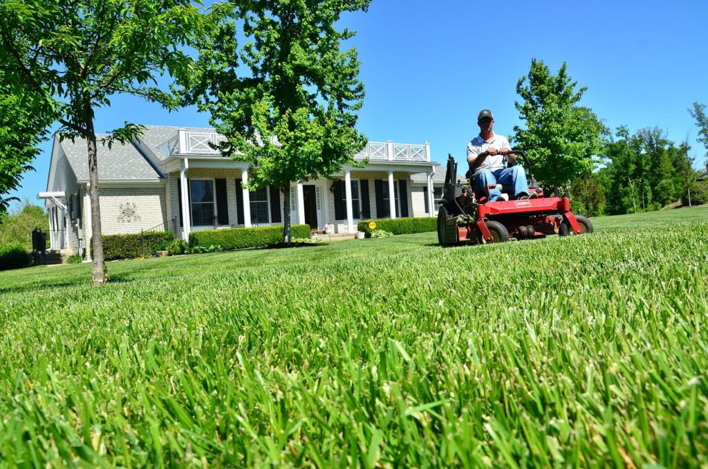 lawn care, lawn maintenance, lawn services-643556.jpg